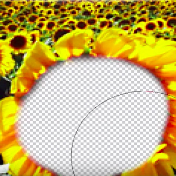 Video: Using layer masks to erase non-destructively